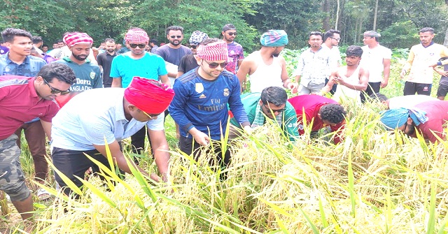 ঝালকাঠিতে কৃষকের ধান কেটে দিলো ছাত্রলীগ