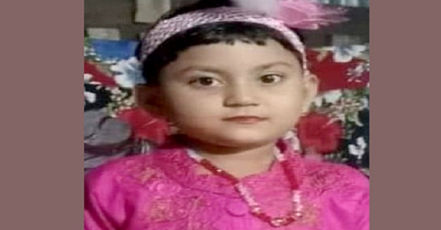 মায়ের সঙ্গে পার্কে ঘুরতে এসে সেতু থেকে পড়ে শিশু নিখোঁজ