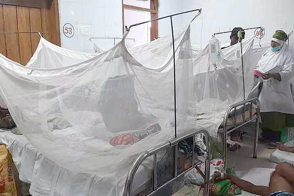  বরিশাল বিভাগে ডেঙ্গুর প্রকোপ: বরগুনায় তিন মাস ধরে সংক্রমণ নিয়ন্ত্রণহীন