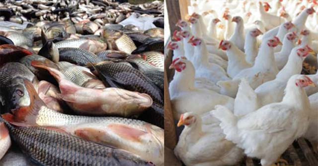 ঈদের পাঁচদিন আগেই বাড়লো মাছ-মাংসের দাম