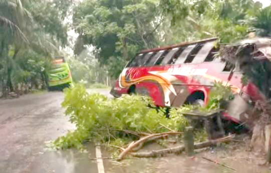 রাজাপুরে একই স্থানে দুটি যাত্রীবাহী বাস খাদে, আহত ১৫