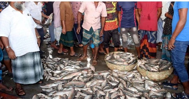 বরিশালে বাজারে মিলেছে ‍ইলিশের দেখা