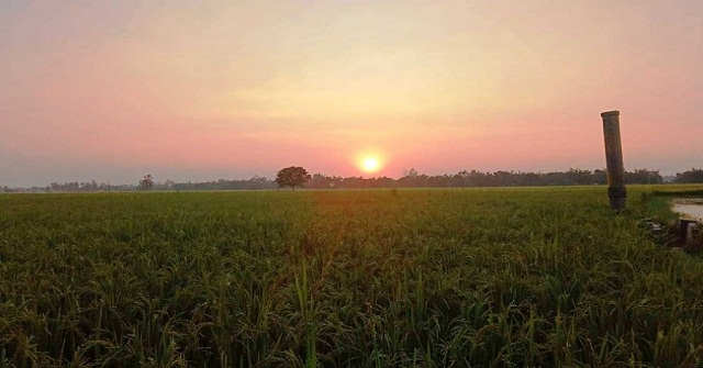 হেমন্ত এসেছে নীরবে