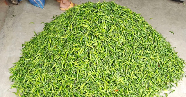 রাতারাতি বেড়ে গেল কাঁচামরিচের দাম