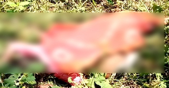 বিশ্বকাপ নিয়ে শঙ্কা উড়ে গেছে আফগানদের
