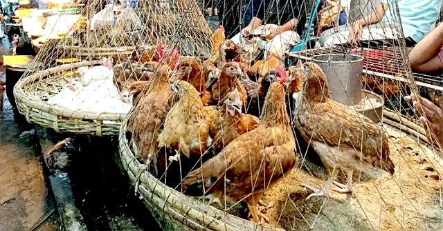 বেড়েছে খোলা ভোজ্যতেলের দাম, রেকর্ড দামে বিক্রি হচ্ছে মুরগি