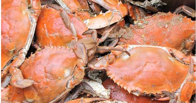 মেয়েকে কামড়, জীবন্ত কাঁকড়া খেয়ে অসুস্থ বাবা! 