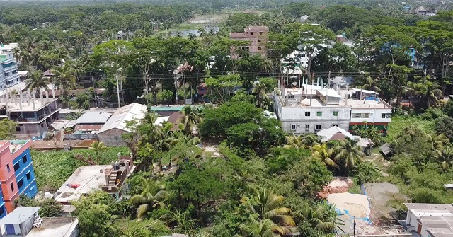 আসছে ডেঙ্গুর মৌসুম, মশক নিধনে কার্যক্রম নেই হটস্পট বরগুনায়
