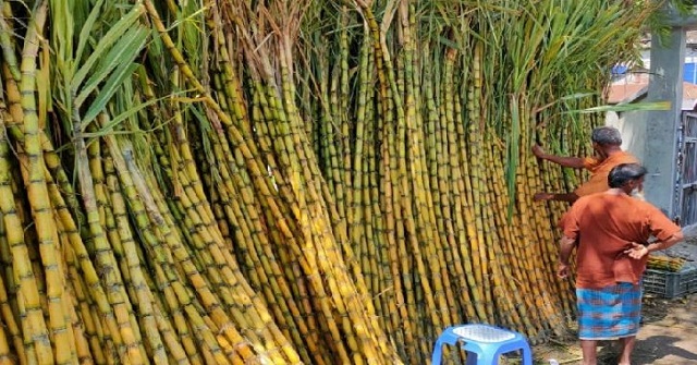 ৩৩ ঘণ্টাতেও উদ্ধার হয়নি চরে আটকা লঞ্চ