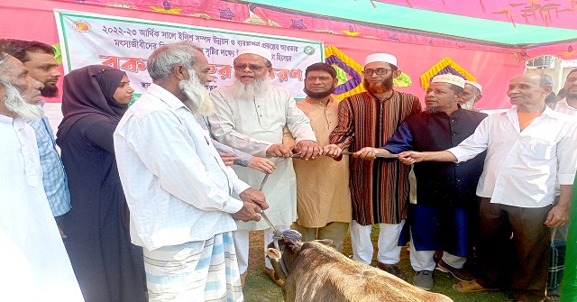 কাউখালীতে জেলেদের মাঝে বকনা বাছুর বিতরণ