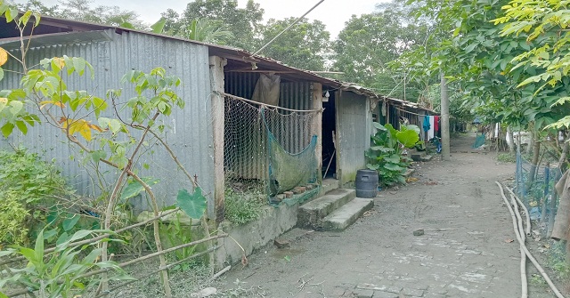 আমতলীতে আশ্রয়নের বাসিন্দারদের মানবেতর জীবনযাপন