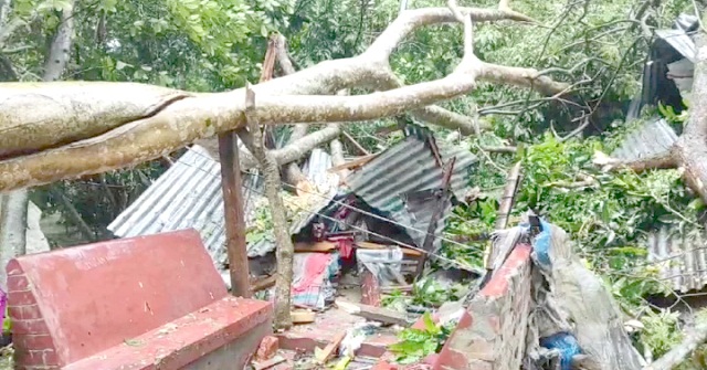 পাথরঘাটায় বিদ্যুৎহীন সাড়ে ৩ লাখ মানুষ, মোমবাতিরও সংকট