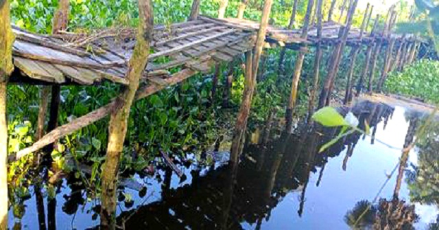 ৪ গ্রামের দুঃখ একটি কাঠের সাঁকো