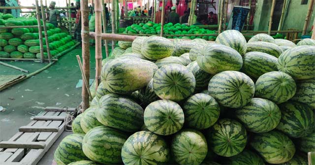  পাইকারি বাজারে তরমুজ পিস হিসাবে বিক্রি হলেও খুচরা বাজারে বিক্রি হচ্ছে কেজি দরে
