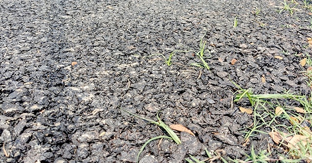  বিধিনিষেধ ভঙ্গ করায় ৫ ব্যবসাপ্রতিষ্ঠানকে জরিমানা 