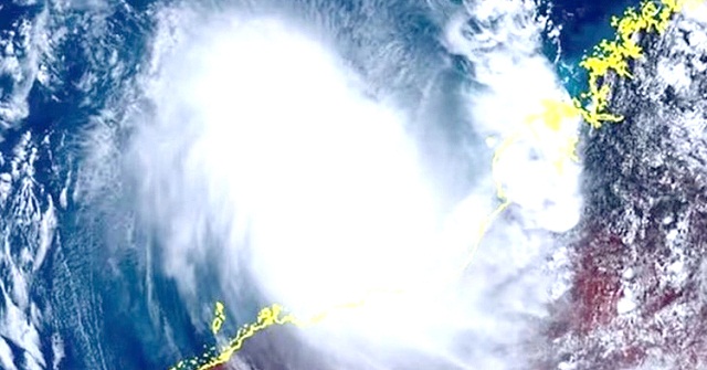 স্বরূপকাঠিতে তক্ষক রাখার দায়ে গৃহবধুর জরিমানা