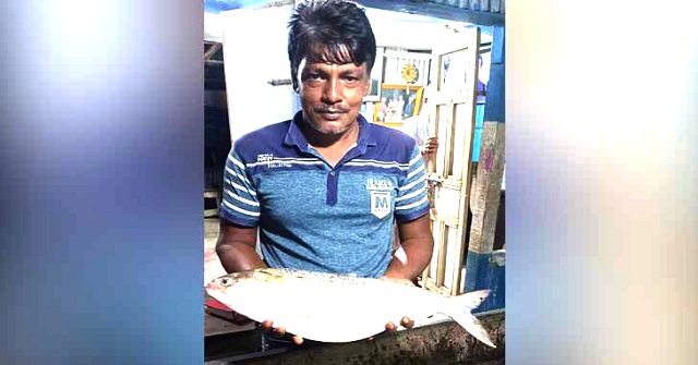 জেলের জালে ৩ কেজি ওজনের রাজা ইলিশ