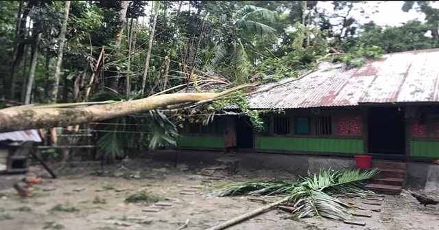 ঘূর্ণিঝড় সিত্রাং: ভাণ্ডারিয়ায় অর্ধশতাধিক ঘরবাড়ি বিধ্বস্ত 