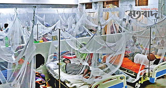২৪ ঘণ্টায় আরও ২১৪ ডেঙ্গু রোগী হাসপাতালে
