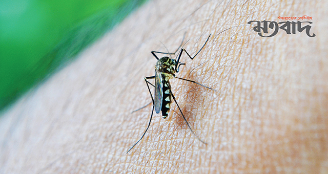 ডেঙ্গুতে একদিনে ৮ মৃত্যু