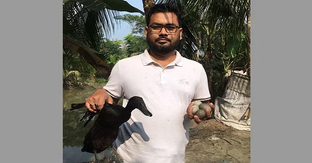 আজও কালো ডিম পাড়ল গলাচিপার পাতিহাঁসটি