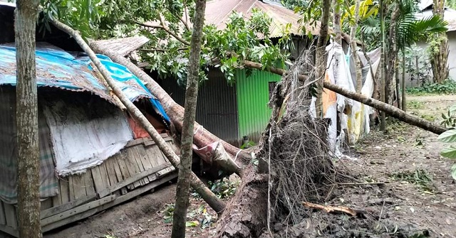 সিত্রাং: নোয়াখালীতে শিশুর প্রাণহানি, অর্ধশতাধিক ঘরবাড়ি বিধ্বস্ত