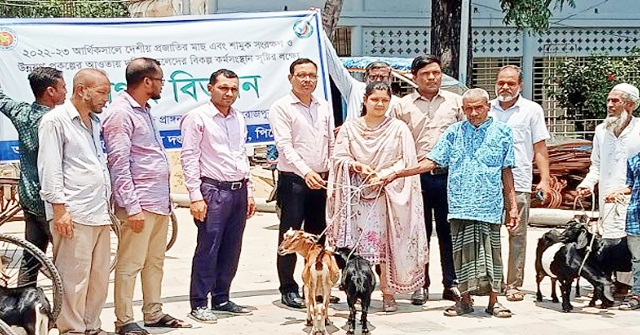 ভাণ্ডারিয়ায় দরিদ্র জেলেদের মাঝে ঘর ও ছাগল বিতরণ