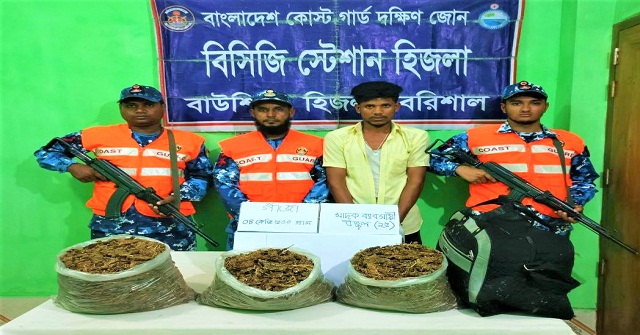 হিজলায় সাড়ে ৪ কেজি গাঁজাসহ কারবারি গ্রেফতার  