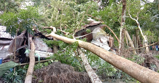 ঝালকাঠিতে সিত্রাংয়ে প্রায় ৫০ কোটি টাকার ক্ষতি
