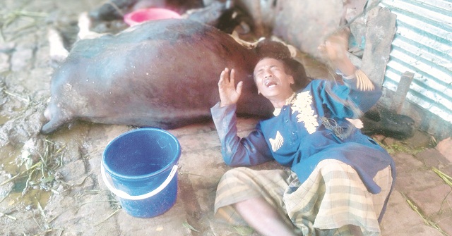 বানারীপাড়ায় জীবিকার শেষ সম্বল হারিয়ে বাচ্চু’র আর্তনাদ