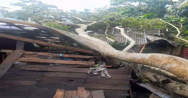 কাঁঠালিয়ায় সিত্রাংয়ের তাণ্ডবে ব্যাপক ক্ষয়ক্ষতি 