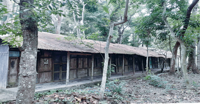 ৫৭ বছর শিক্ষার আলো ছড়ানো পাতারহাট রসিক চন্দ্র কলেজটির আজও রুগ্ন দশা