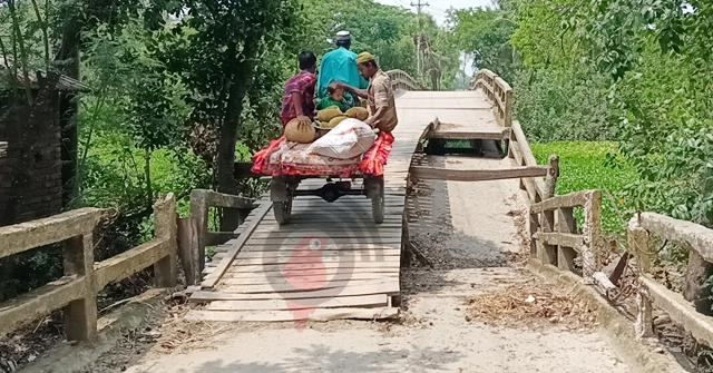 সংস্কারের অভাবে বরগুনায় ১৪৭টি সেতু বেহাল 
