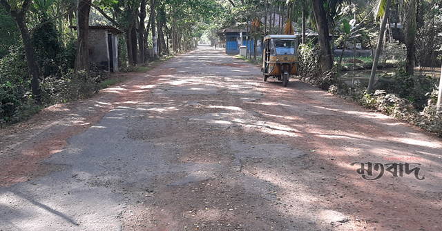 দুই দশক ধরে মাটির রাস্তা আর বাঁশের সাঁকোই ভরসা