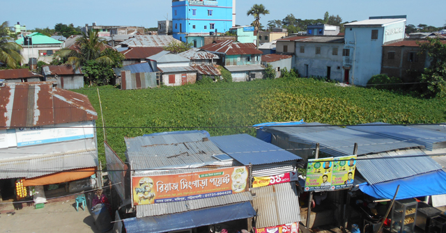 কলাপাড়ায় প্রভাবশালীদের দখলে খাস পুকুর