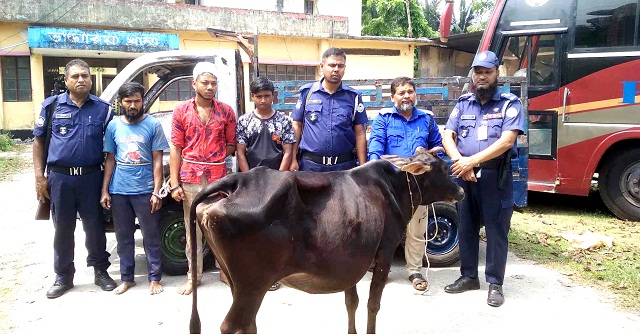 ভাণ্ডারিয়ায় তিন গরু চোরকে গণপিটুনি দিয়ে পুলিশে সোপর্দ
