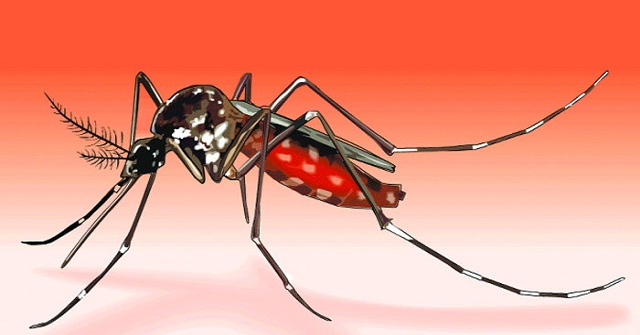 সাকিবের কাছেও কোনো ব্যাখ্যা নেই