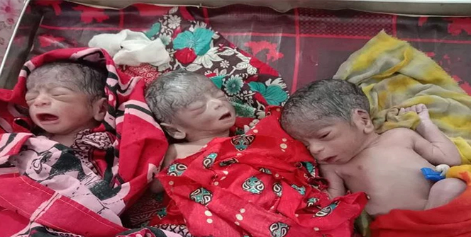  গৌরনদীতে একসঙ্গে তিন সন্তানের জন্ম