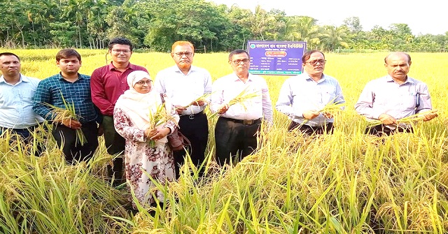 উপজেলা চেয়ারম্যানের অর্থায়নে পাথরঘাটায় ৫০টি মন্দিরে সিসি ক্যামেরা বিতরন