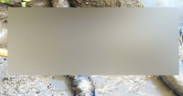 হিজলায় অজ্ঞাত যুবকের লাশ উদ্ধার