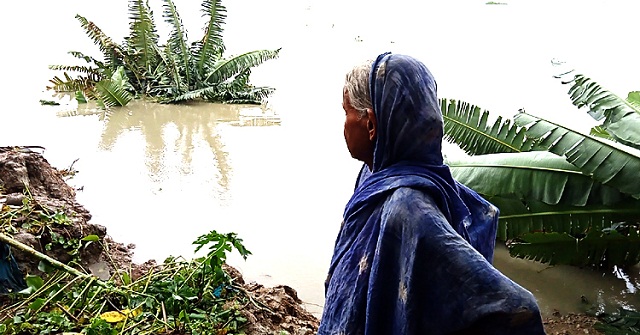 বিষখালীর ভাঙনে বিলীন বৃদ্ধার ত্রাণের ঘর