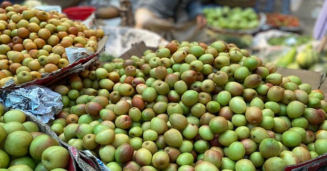 বরইয়ের নানা পুষ্টিগুণ