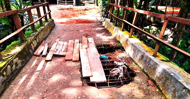রাজাপুরে বেহাল সড়কে ৬ গ্রামের মানুষ ৫০ বছর ধরে দুর্ভোগে