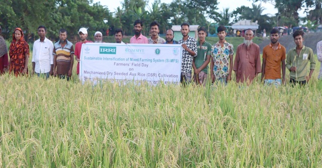 আউস ধান চাষ বিষয়ক মাঠ দিবস 