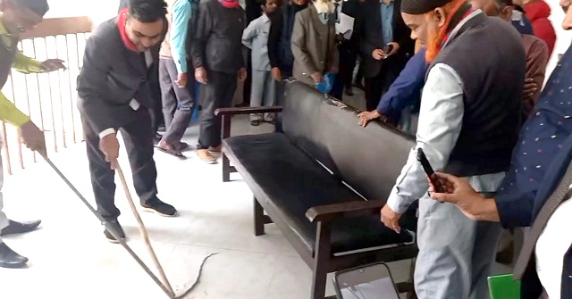 সাপ আতঙ্কে আদালতের বিচারিক কার্যক্রম বন্ধ