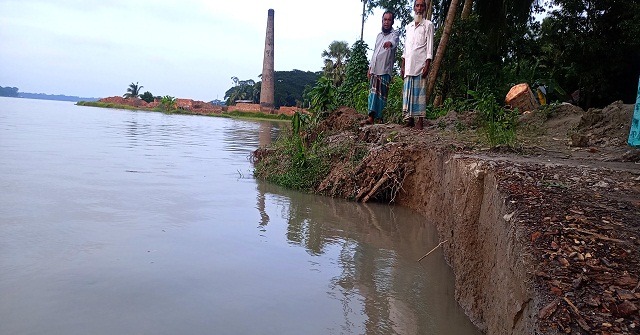 টিকটকের মালিকের আয় বেড়েছে দ্বিগুণ