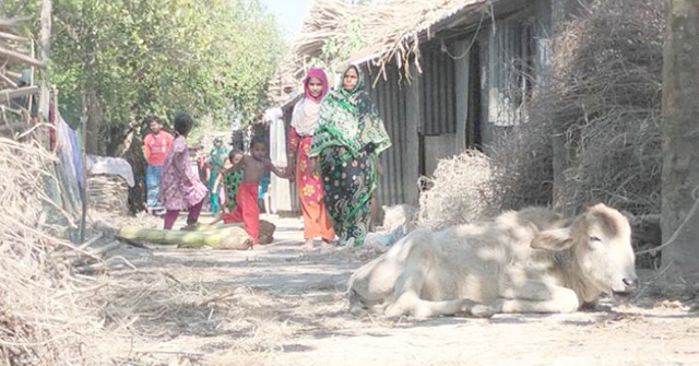 ভোলায় ২৬ বছরেও সংস্কার হয়নি আশ্রয়ণ প্রকল্পের ঘর