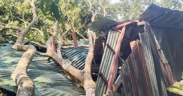 ঘূর্ণিঝড় সিত্রাংয়ে বাউফলে অর্ধশতাধিক ঘর বিধ্বস্ত 