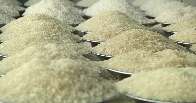 চালের দাম সহনীয় রাখতে আমদানি শুল্ক প্রত্যাহার