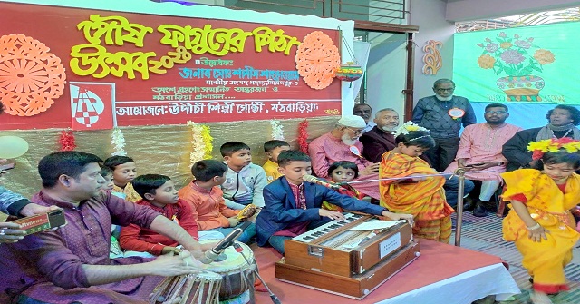 মঠবাড়িয়ায় পৌষ-ফাগুনের পিঠা উৎসব